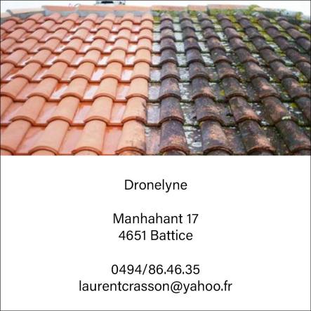 Dronelyne